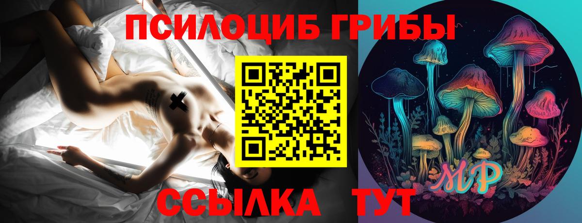Верхний Уфалей  Галлюциногенные грибы Cubensis  Вход с VPN 
